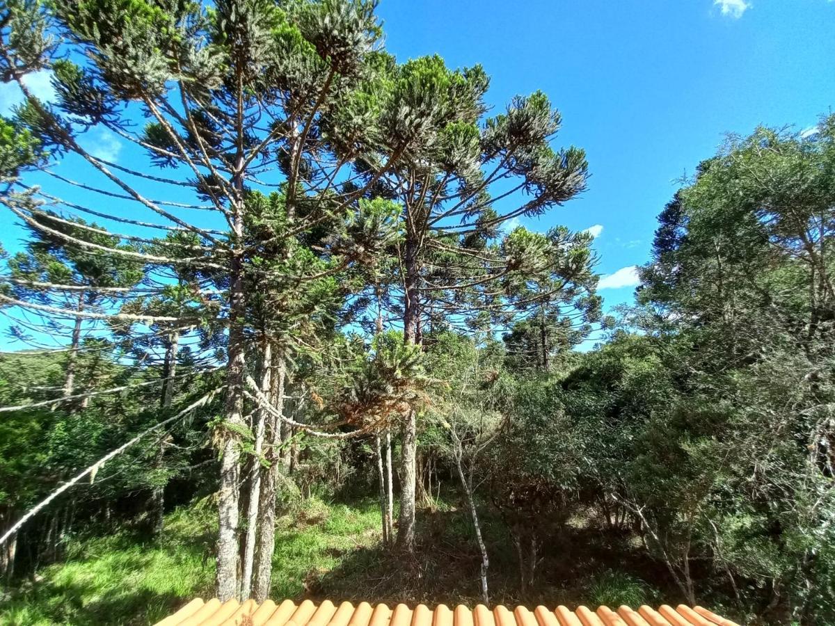 Cabana Na Floresta Rincao Do Fortaleza Cambará Zewnętrze zdjęcie