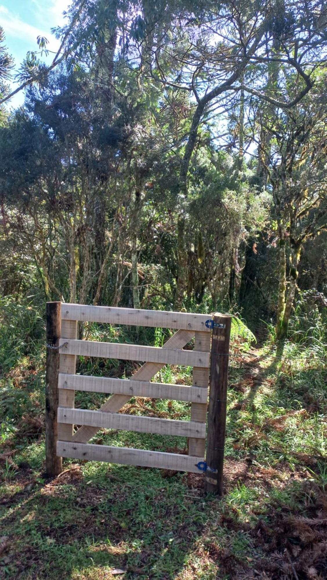 Cabana Na Floresta Rincao Do Fortaleza Cambará Zewnętrze zdjęcie