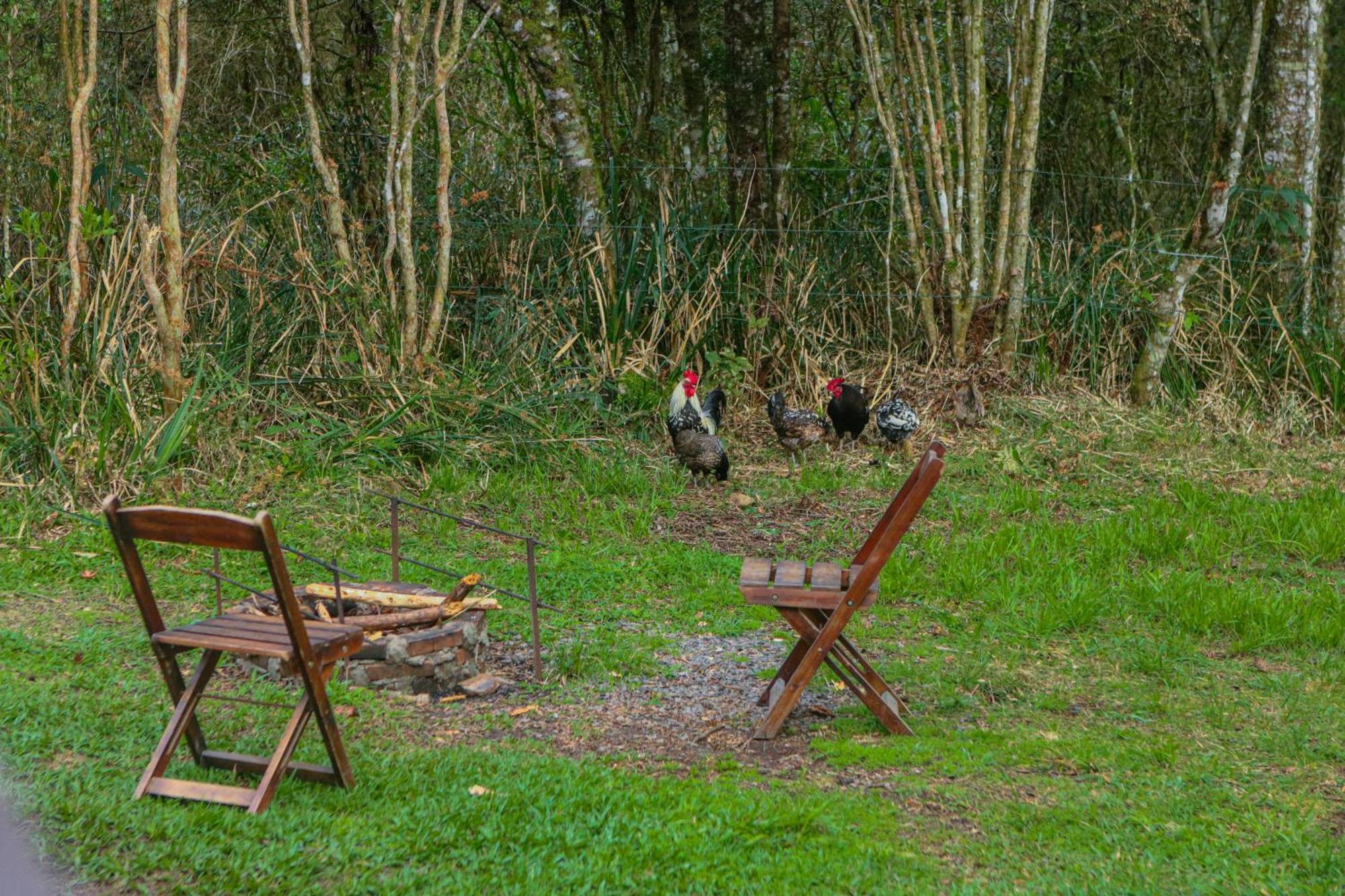 Cabana Na Floresta Rincao Do Fortaleza Cambará Zewnętrze zdjęcie